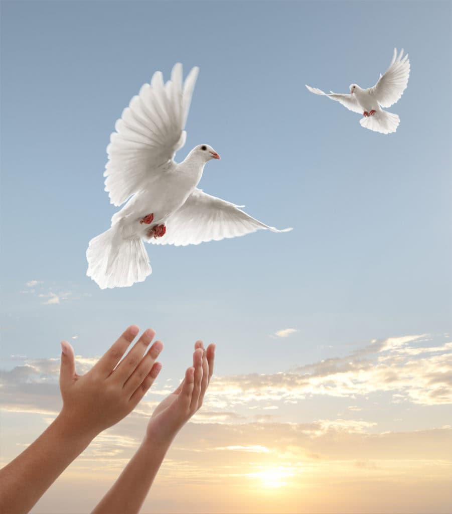 white-dove-release-Celebration-of-Life-funeral-planning-AZ